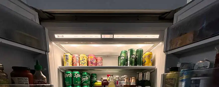 Sub-Zero refrigerator repair